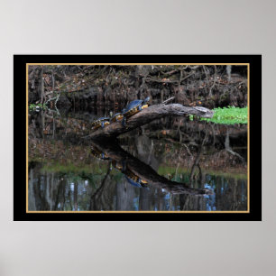 Poster Tortues Sur Père Noël Fe River 520