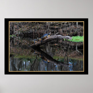 Poster Tortues Sur Père Noël Fe River 520