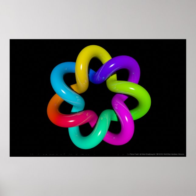 Poster Torus Twist (Devant)