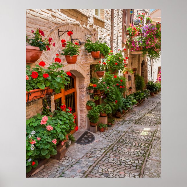Poster Toscane, Italie - une rue pittoresque (Devant)