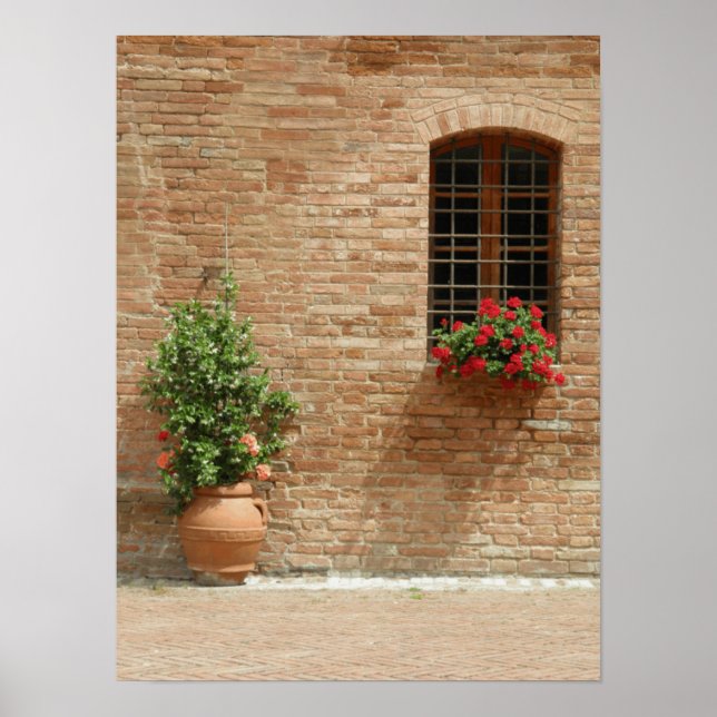 Poster Toscane plantes de pot (Devant)