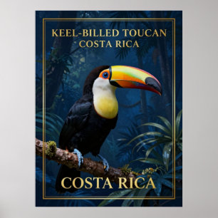Poster Toucan à bec caréné, faune du Costa Rica