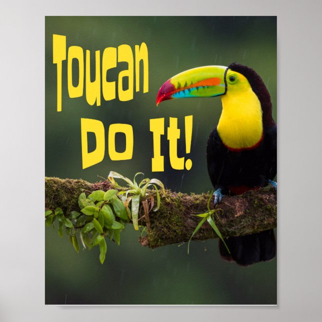 Poster Toucan Le Fait ! Coloré Motivationnel Oiseau amusa (Devant)