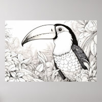 Toucan Nature paisible Prairie Dessin d'art