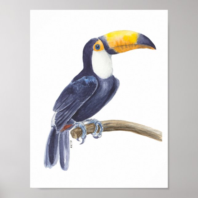 Poster Toucan, oiseau tropical (Devant)