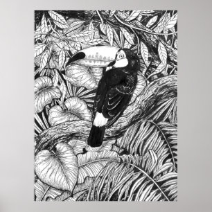 Poster Toucan tropical garden