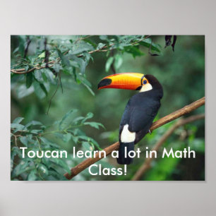 Poster ToucanMath