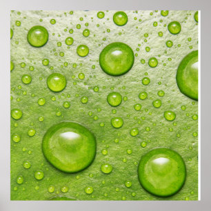Poster "Touche douce, goutte silencieuse"