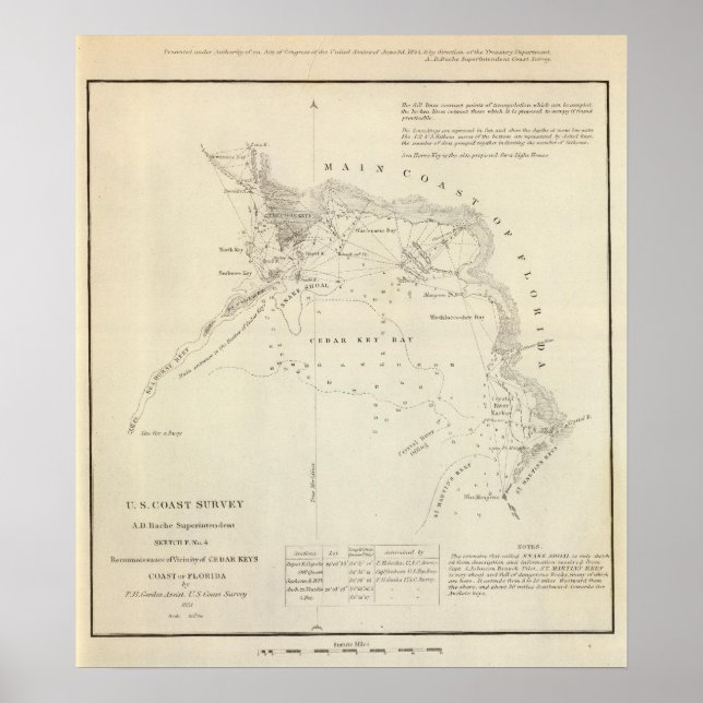 Poster Touches de cèdre, Fla (Devant)