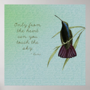 Poster Touchez le colibri de ciel