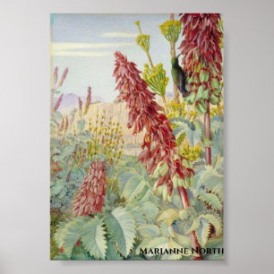 Poster Touchez-moi pas Fleurs et Oiseaux de sucre, Tulbag