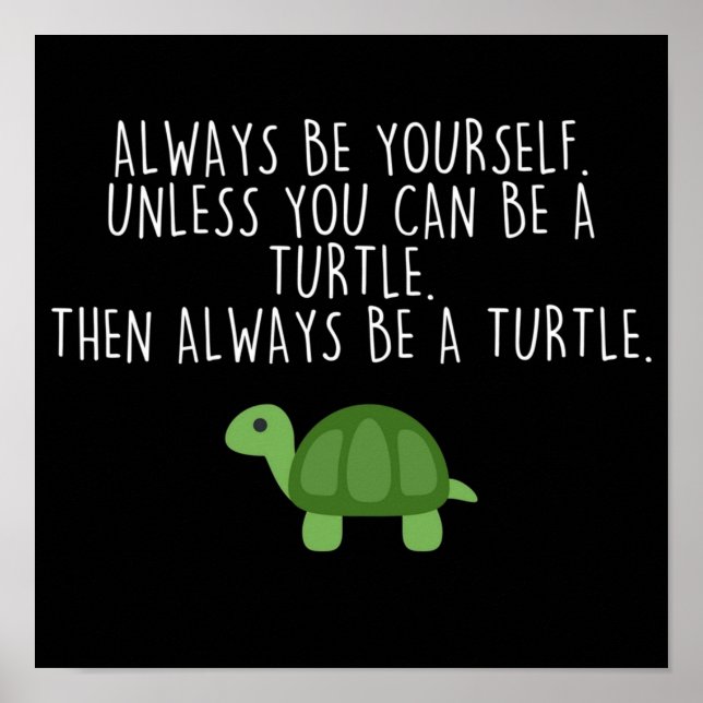Poster Toujours être une tortue (Devant)