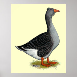 Poster Toulouse Goose