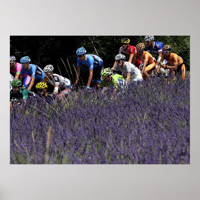 Poster Tour de France dans les lavandes (Devant)