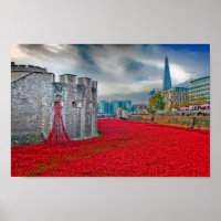 Tour de Londres Red Poppies Angleterre Royaume-Uni