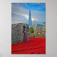 Tour de Londres Red Poppies Angleterre Royaume-Uni