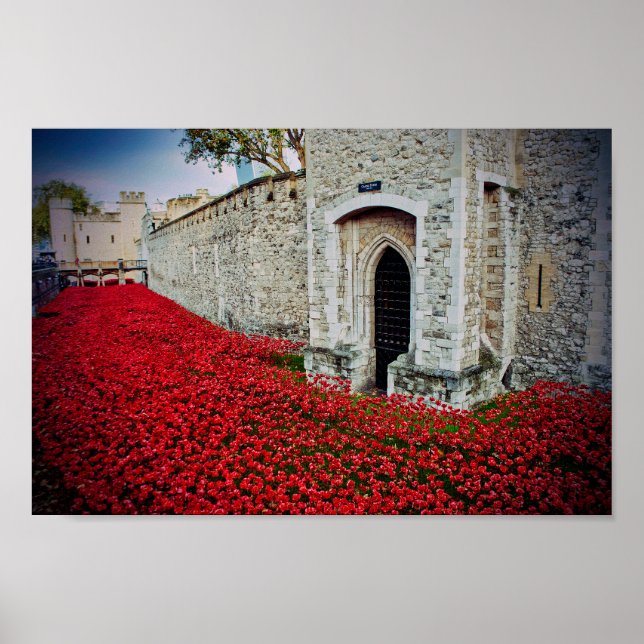 Poster Tour de Londres Red Poppies Angleterre Royaume-Uni (Devant)