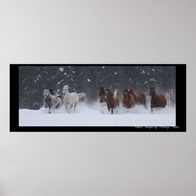 Poster Tour d'hiver (Devant)