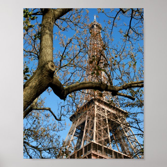 Poster Tour Eiffel de Paris en France Carte postale (Devant)