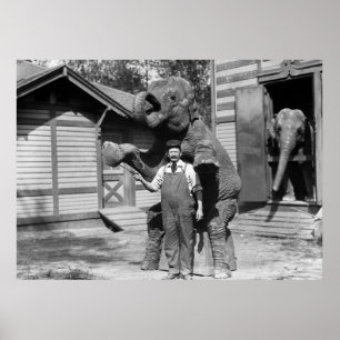 Poster Tour futé d'éléphant, les années 10