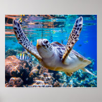 Tourbillon de Green Sea |hawaï