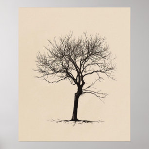 Poster Tourné Gnarled vieux arbre minimaliste ligne art