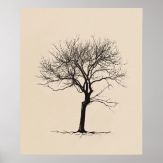 Poster Tourné Gnarled vieux arbre minimaliste ligne art