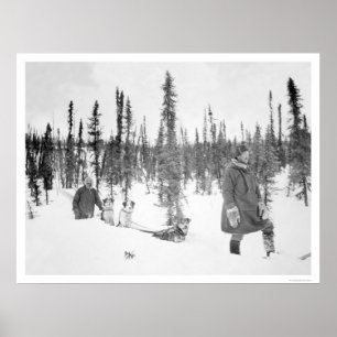 Poster Tourneberge de chiens Hommes Fairbanks 1920