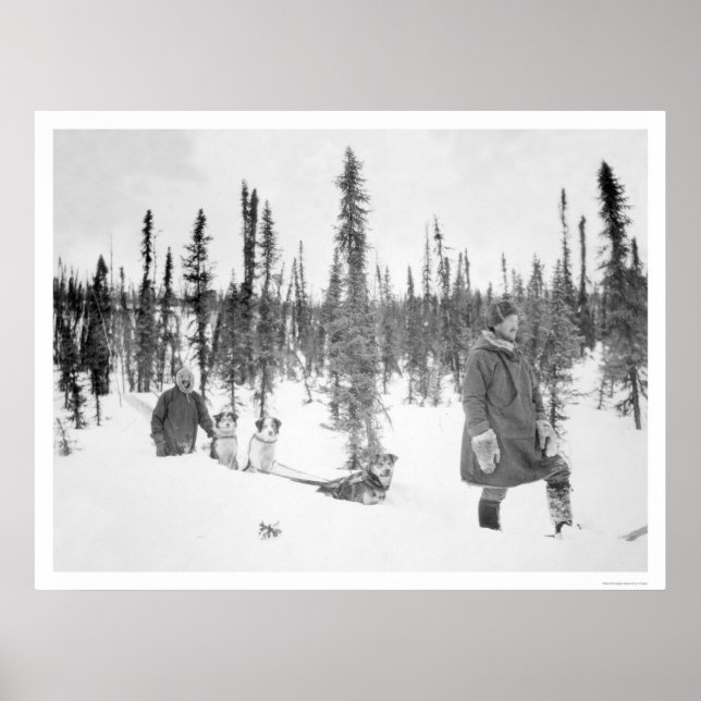 Poster Tourneberge de chiens Hommes Fairbanks 1920 (Devant)