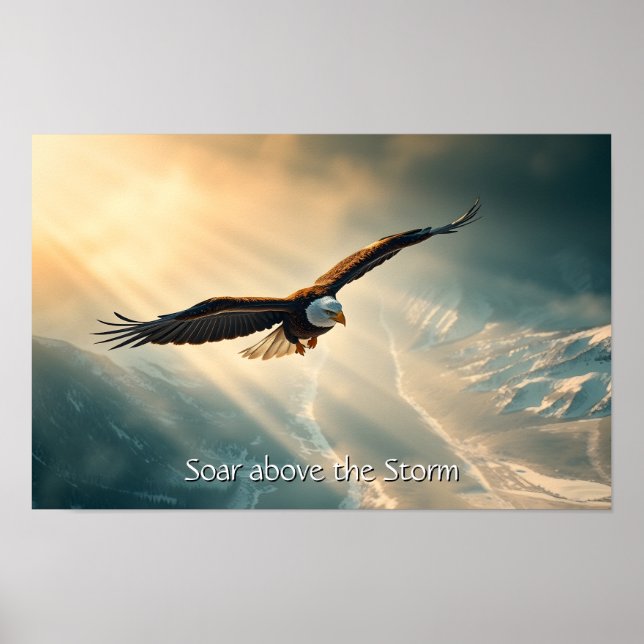 Poster Tourner Au-Dessus De La Tempête (Devant)