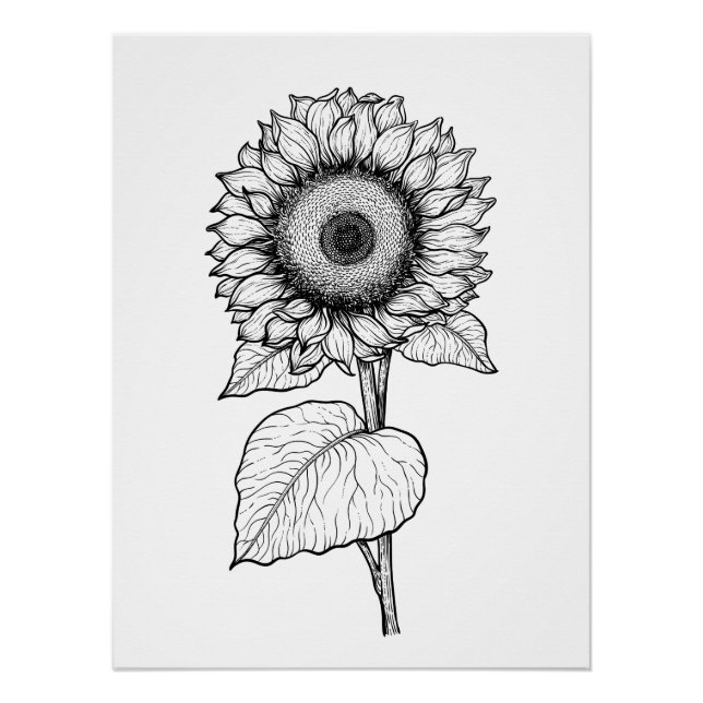 Poster Tournesol (Devant)