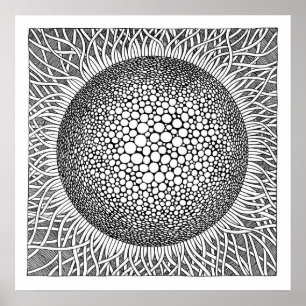 Poster Tournesol