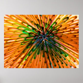 Poster Tournesol