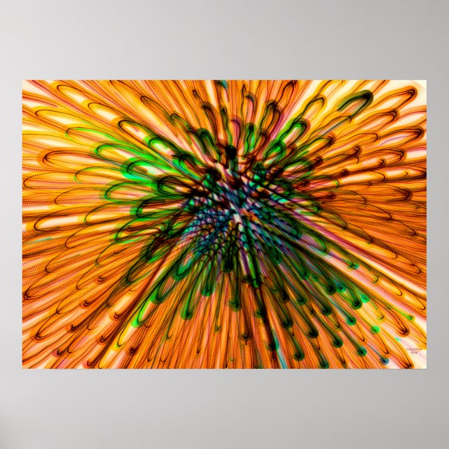 Poster Tournesol (Devant)