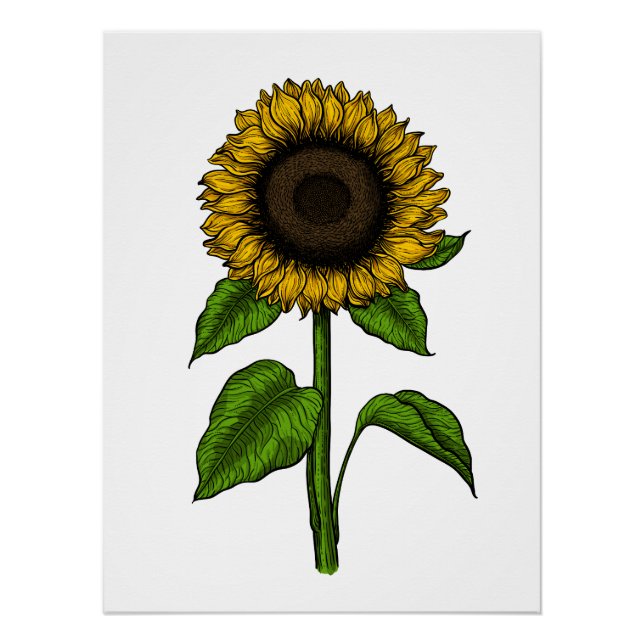 Poster Tournesol (Devant)