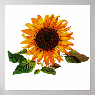 Poster Tournesol