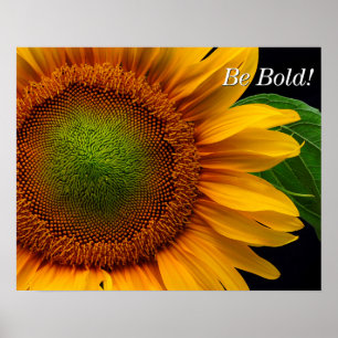 Poster Tournesol