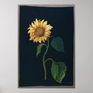 Poster Tournesol