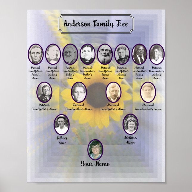 Poster Tournesol 3D avec photos Oval Ancestor (Devant)