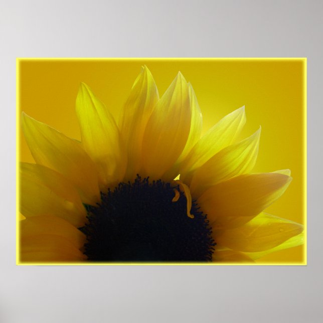Poster Tournesol Art Imprimer Belle Fleur Art Imprimer (Devant)