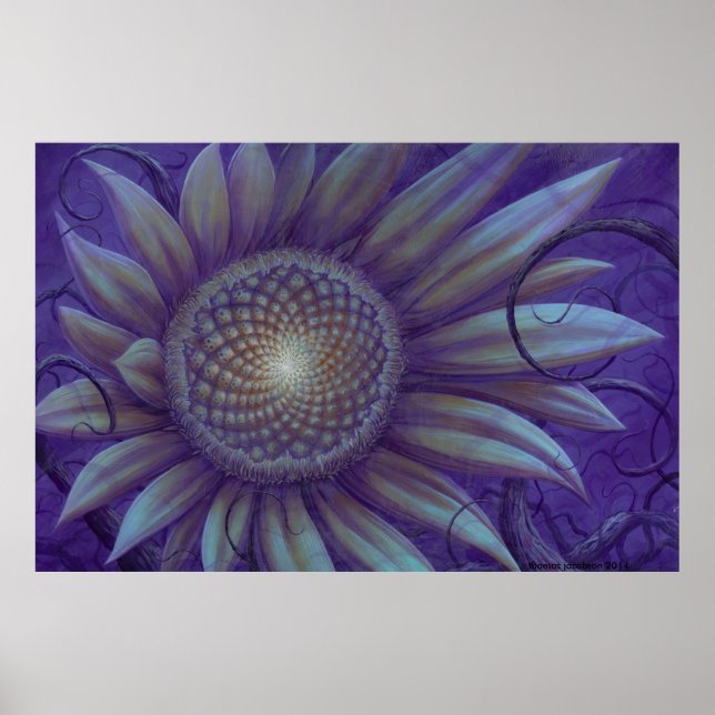 Poster tournesol de minuit (Devant)