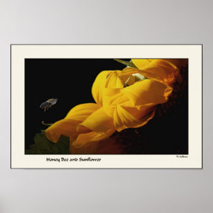 Poster Tournesol et abeille