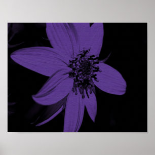 Poster Tournesol Fleur Violet Abstrait