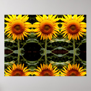 Poster Tournesol géant, fleurs jaunes motif