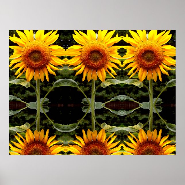 Poster Tournesol géant, fleurs jaunes motif (Devant)