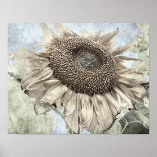 Poster Tournesol géant jaune Pastel Chic Vintage antique