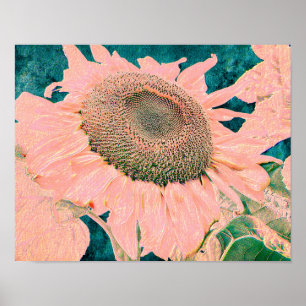 Poster Tournesol géant Vintage rose Vert Pays Art