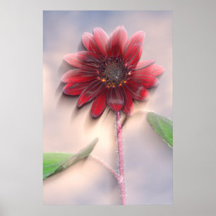 Poster Tournesol hybride soufflant au vent