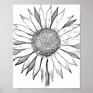 Poster Tournesol illustré