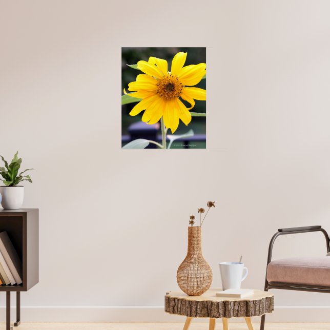 Poster Tournesol jaune vif (Salon 3)